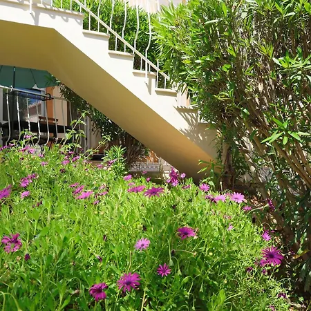 Apartman Oasis Do Joao E Da Dalila